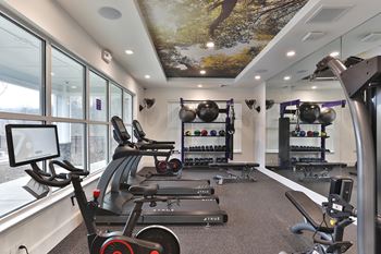 A gym with a row of treadmills and a wall of dumbbells.